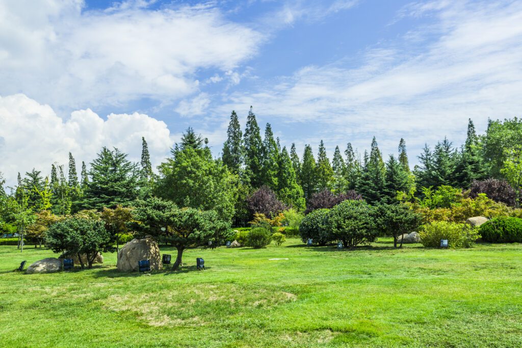 park-with-trees